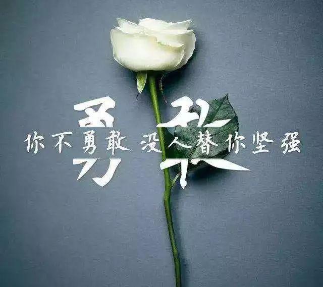 最新影視劇，引領(lǐng)視覺盛宴，探索未知世界