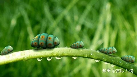 最新小電影，探索微觀世界的精彩瞬間