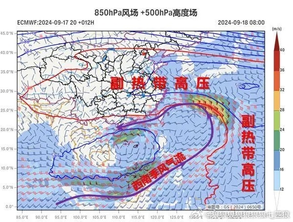十六號臺風最新消息，全方位解析與應對策略