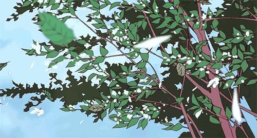 2024年11月19日 第16頁(yè)