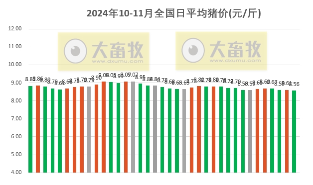 2024年11月 第8頁